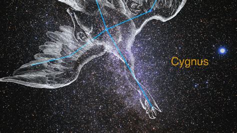 Cygnus